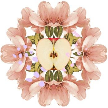 1552 Iconic Plants Apple Aw 570x570